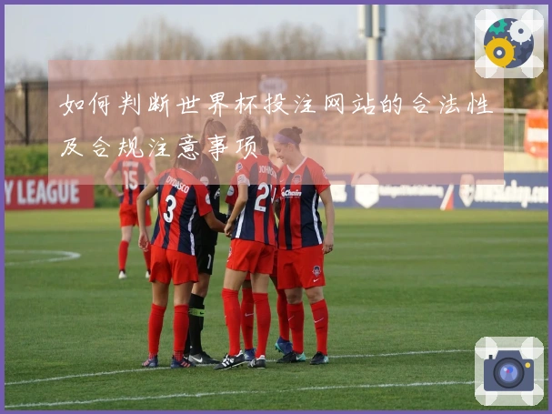 如何判断世界杯投注网站的合法性及合规注意事项