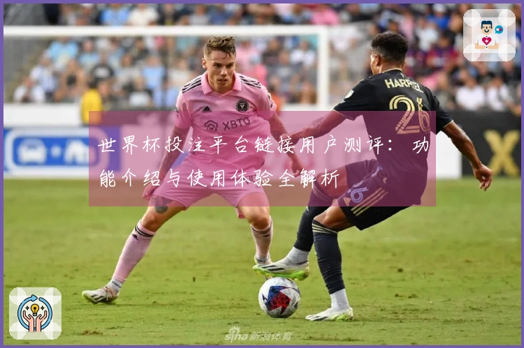 世界杯投注平台链接用户测评：功能介绍与使用体验全解析
