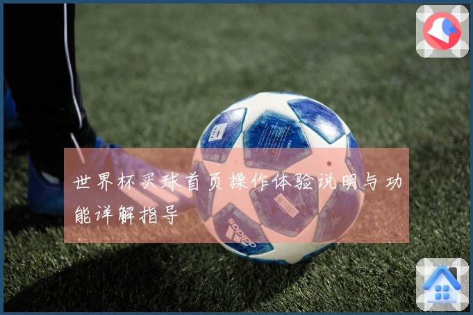 世界杯买球首页操作体验说明与功能详解指导