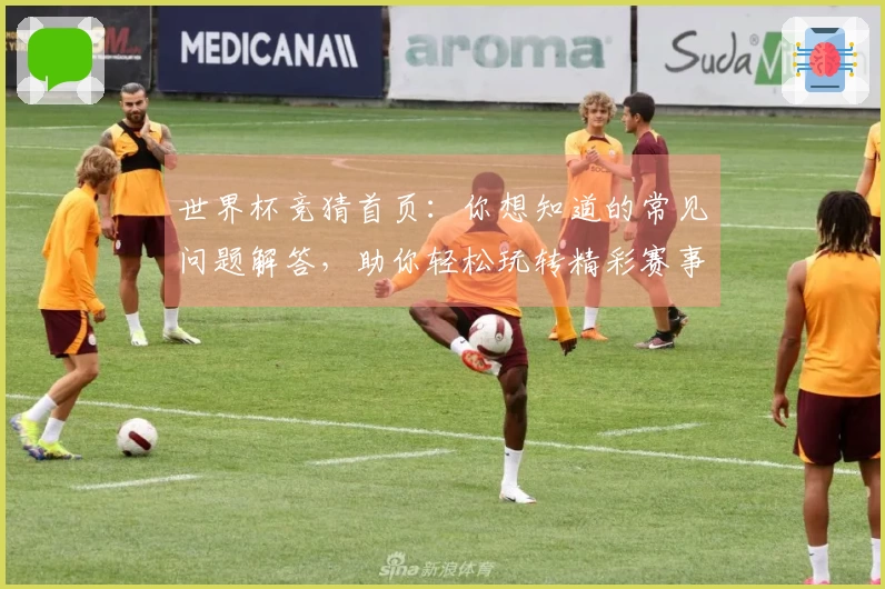 世界杯竞猜首页：你想知道的常见问题解答，助你轻松玩转精彩赛事！