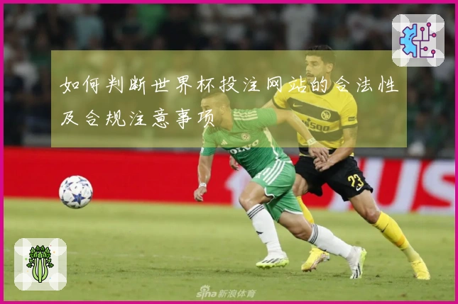 如何判断世界杯投注网站的合法性及合规注意事项