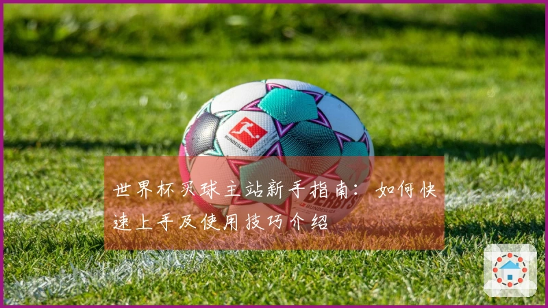 世界杯买球主站新手指南：如何快速上手及使用技巧介绍